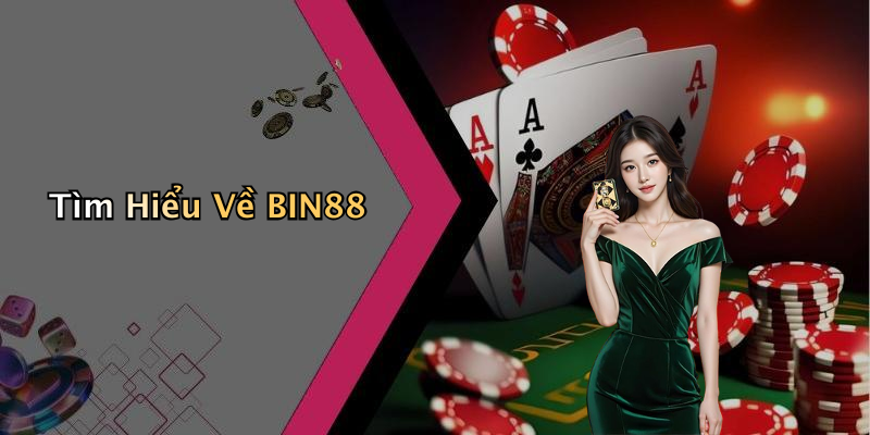 Tìm Hiểu Về BIN88